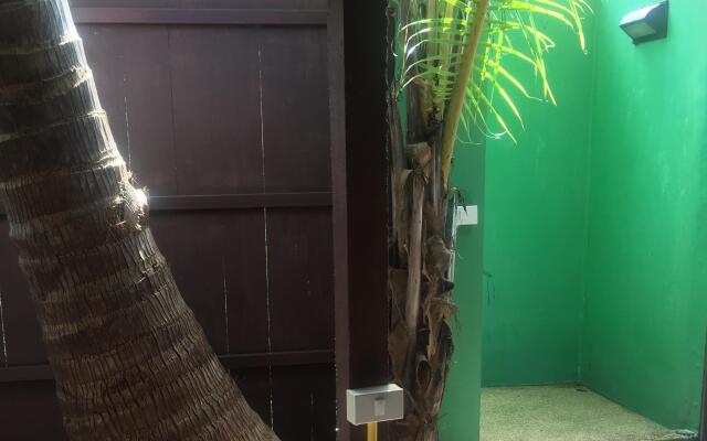 Tropical Garden Lounge