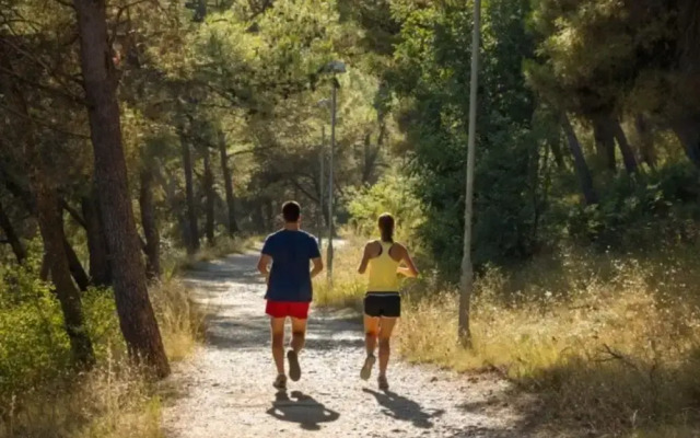 Apartment Aniva - 50 m From the sea