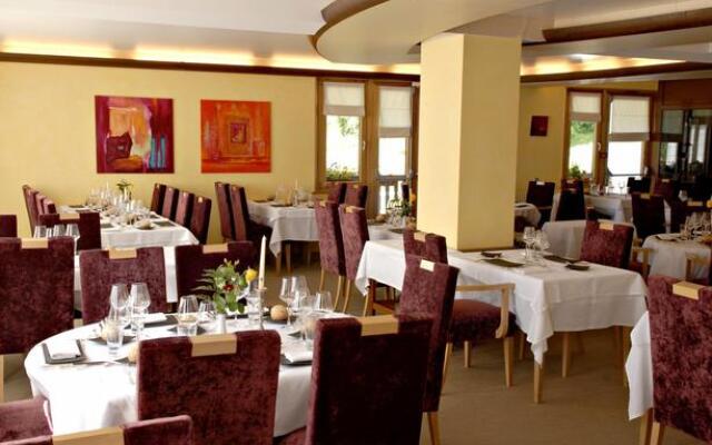 Hôtel-Restaurant LEtang du Moulin