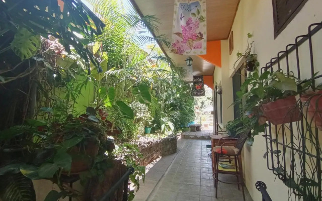 Nirvana Apartments