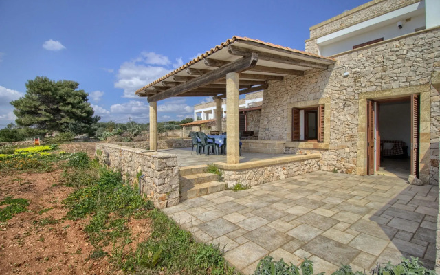 Salvia Lovely Seaview