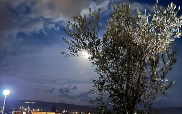 Woodstock Alaçatı