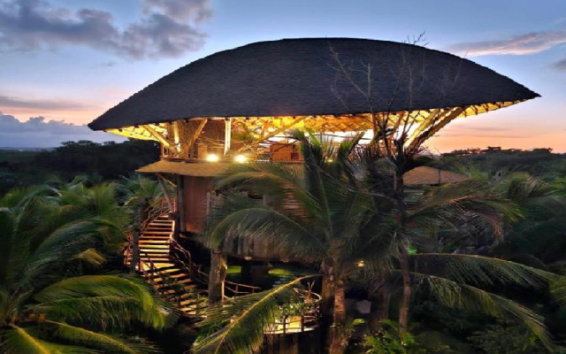 NAYARA Bocas del Toro