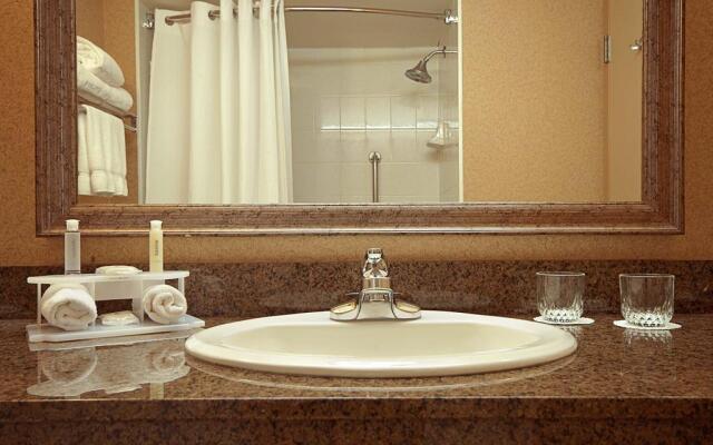 Holiday Inn Express Vancouver-Metrotown (Burnaby), an IHG Hotel