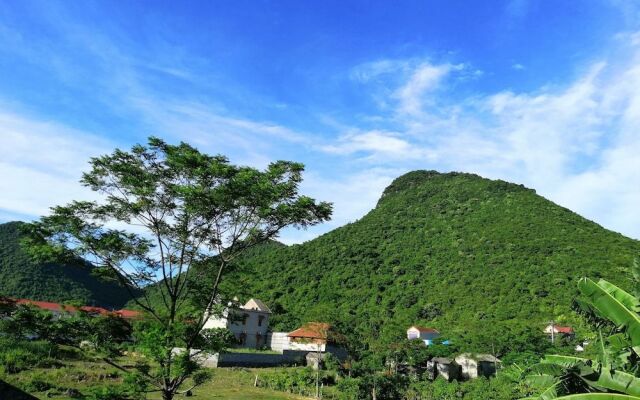 Cuc Phuong Bungalow