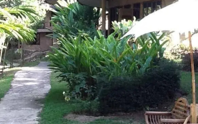 The Natural Healing Spa Retreat