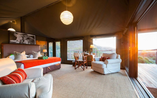 HillsNek Safari Camp - Amakhala Game Reserve