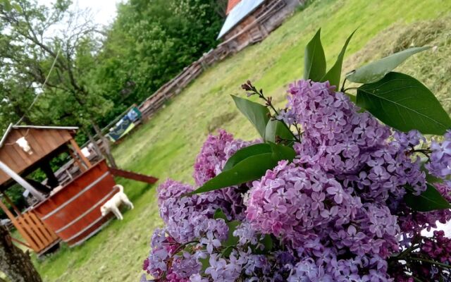 Room in Guest Room - Rural Holiday Transylvania