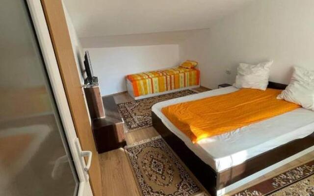 Casa Wiesmann Băile Felix