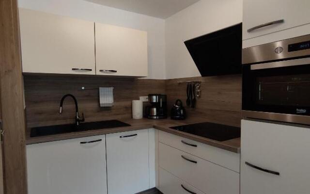 Berghof Apartment Bergwiese Top 31