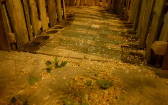 Yuanfang Family Courtyard Inn