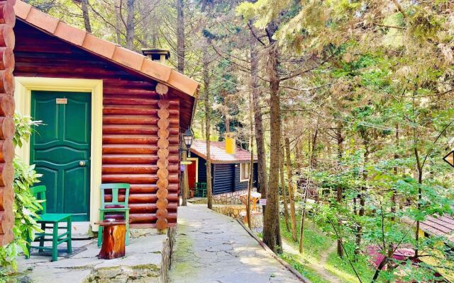 Agva Orman Evleri Forest Lodge