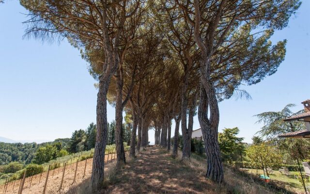 Podere Caldaruccio La Pineta