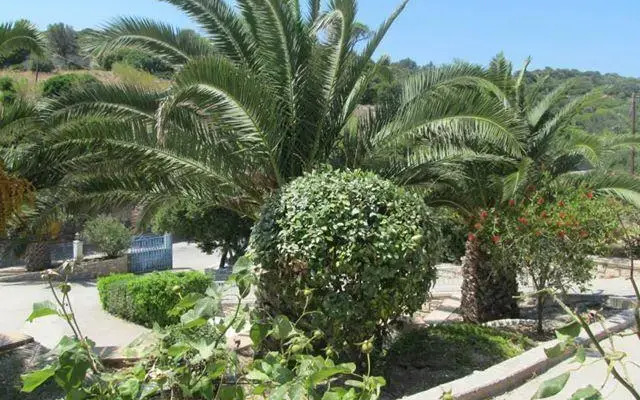 Paradise Studios