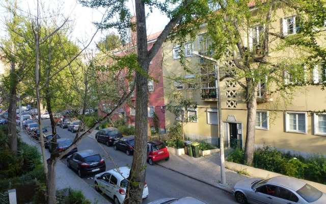 Charming Apartment to feel Lisbon