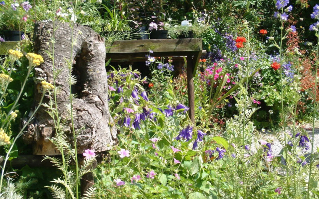 Seed Hill Guest House