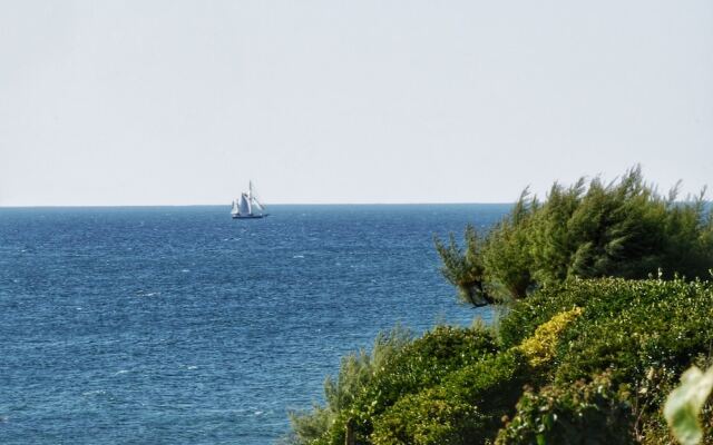 Looe Island View