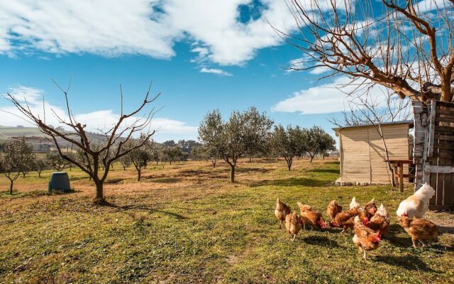 Quaint Farmhouse in Plagiari surrounded with Olive Trees