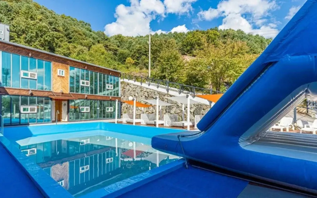 Gapyeong Daengdaengi Dog Pension Silver