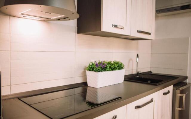 Apartment in the Heart of the City