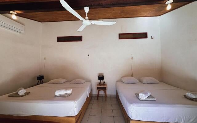 Pacific Buddha Hostel