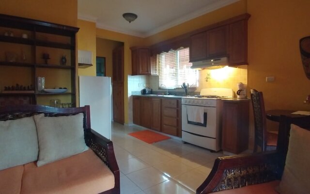 Cozy 1-bedroom-apartment Just 5 Minutes From Zona Colonial