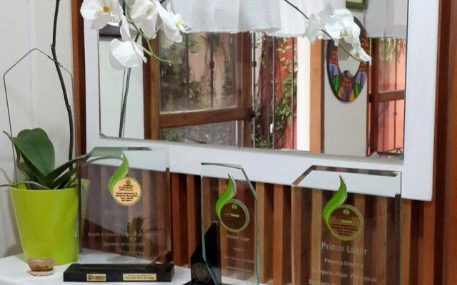 Árbol de Fuego Eco-hotel, a green experience in the city