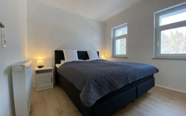 Attractive Apartment in Olbersdorf