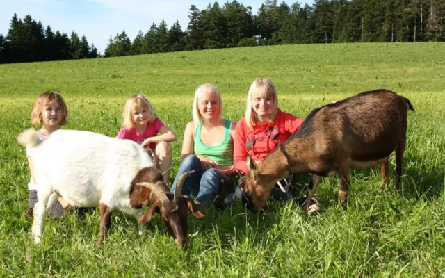 Schlosshof - der Urlaubsbauernhof