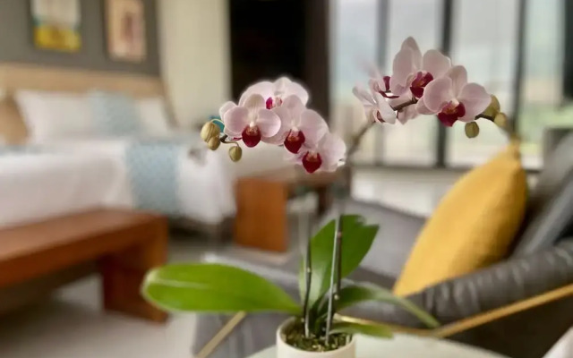 Follow the Cloud B&B