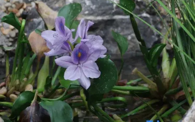 Xiaozhu Shiguang Nature Homestay (Sanbao Jingdezhen)