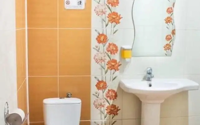 Hostel Koleso