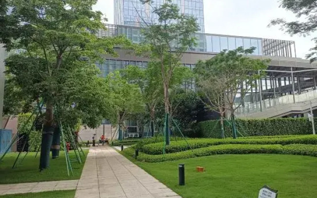 Holiday Inn Shenzhen Bay Apartment
