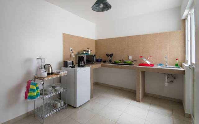 JUUB at THE CENTER OAXACA