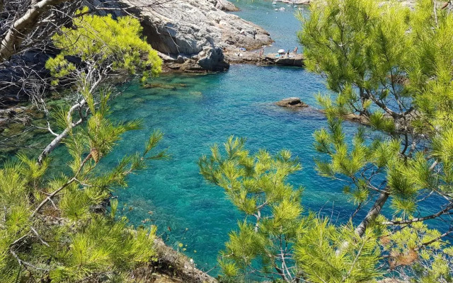 Mareva