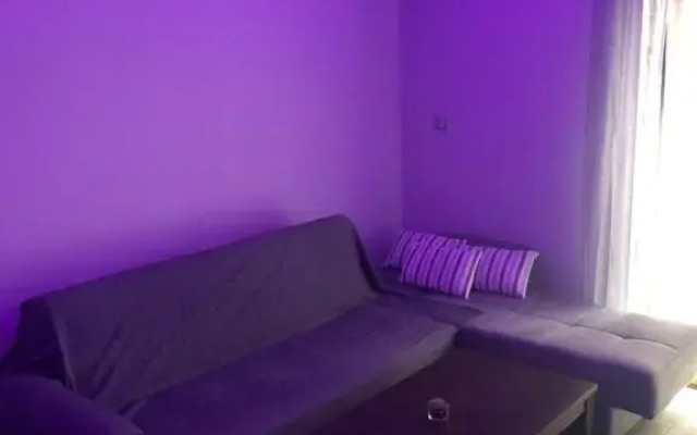 The only luxurious apartment in the center of town