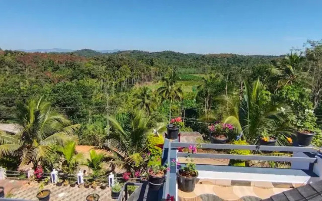 Viewpointwayanad