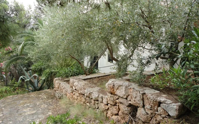 Tigrich Apartments