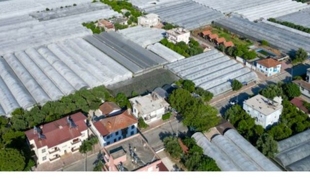 Benlikya Houses