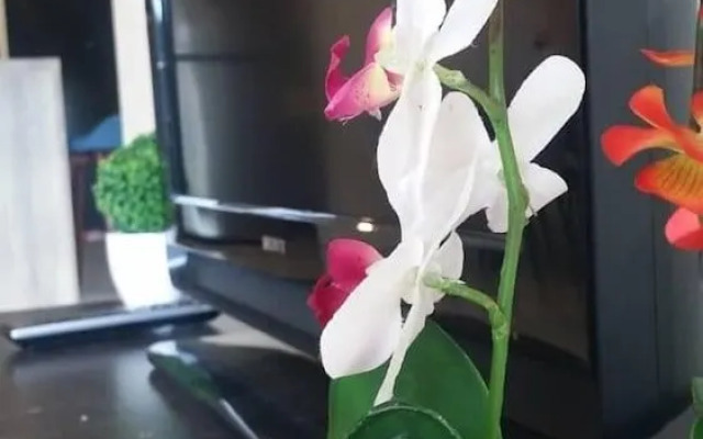 Saville at The Park by Ivan