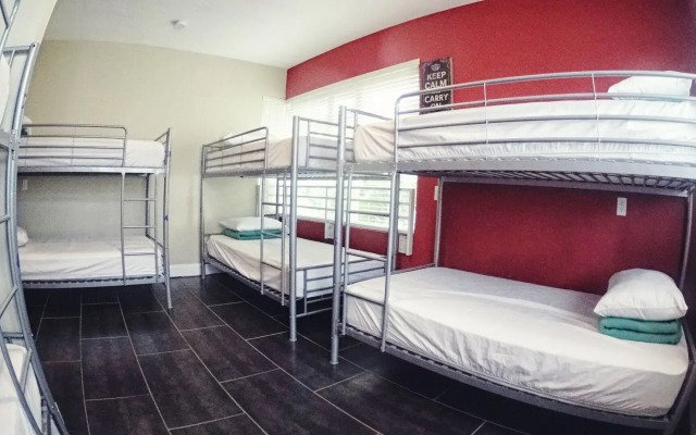 Beds n' Drinks Hostel