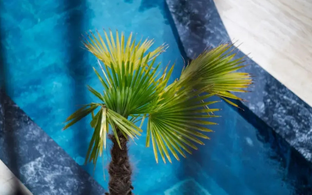Avlu Alacati Butik Otel