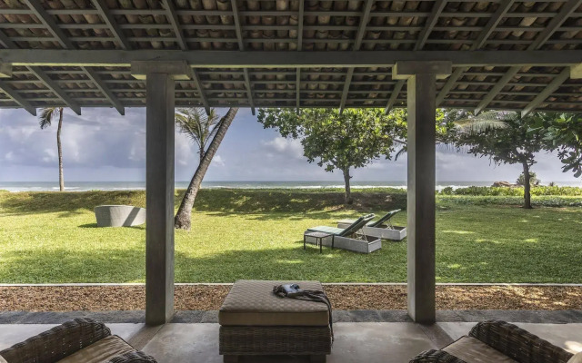 The Frangipani Tree By Edwards Collection