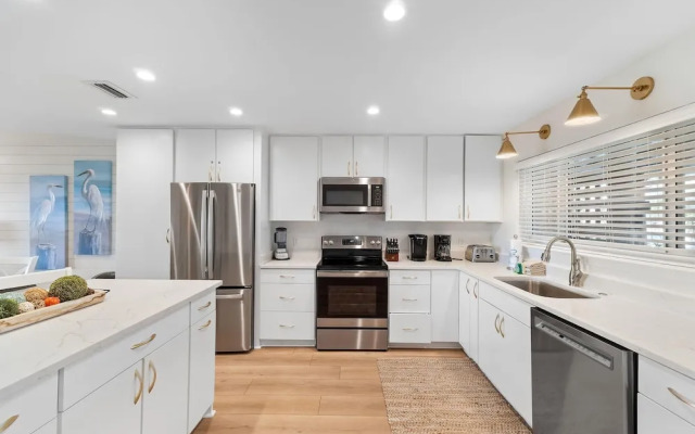 Needle Rush Point D11