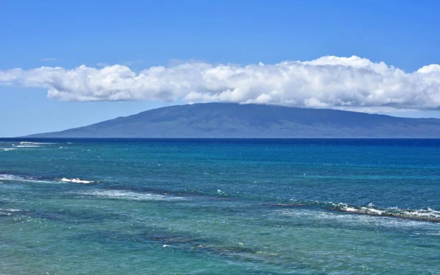Kaleialoha 309