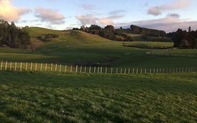 Veld View Bed & Breakfast