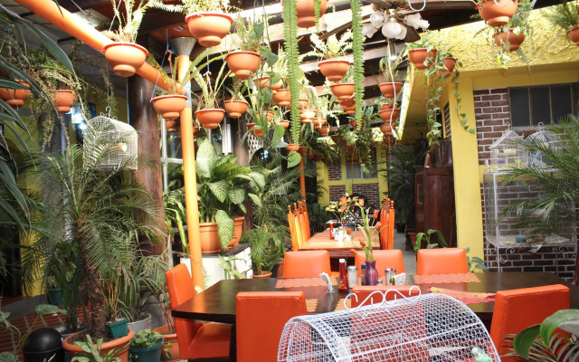 Hotel Casa del Viajero - Hostel