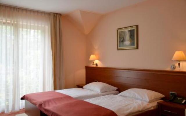 Hotel Mladimir