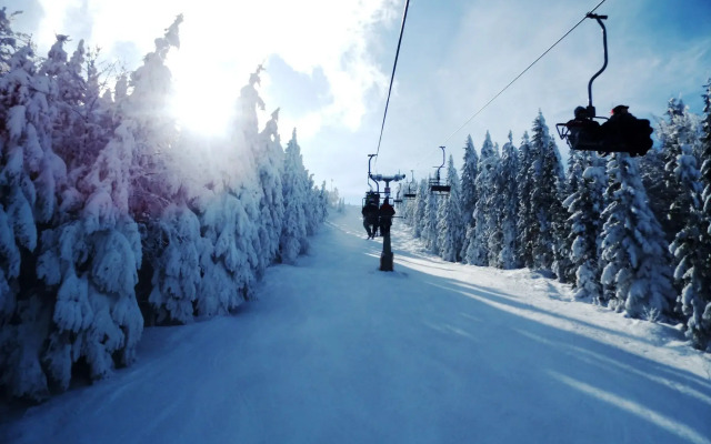 Feriendorf am Hohen Bogen