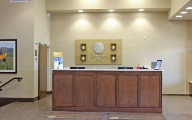 Comfort Inn Butte City Center I-15 / I-90